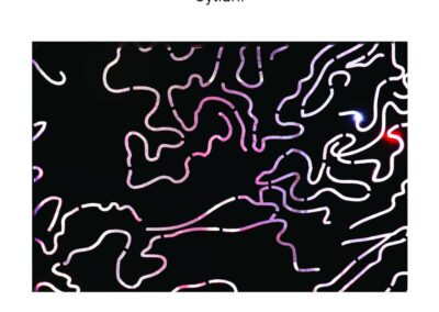 Hermès dévoilé – Cyliani