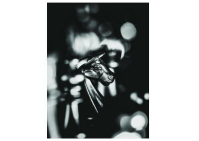 Jean l&rsquo;assassin