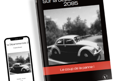 Sur la Départementale 2085